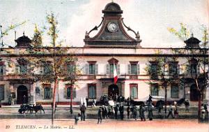 2951- Tlemcen - Mairie